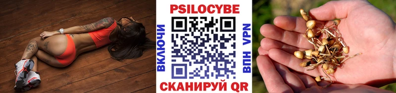 Галлюциногенные грибы Cubensis  что такое наркотик  Спасск-Дальний 
